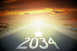 2034 - empty road on a desert and sunset sky