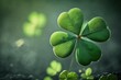 Four-leaf green clover for good luck as a digital illustration (Generative AI)