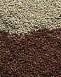 © ADDICTIVE STOCK - Heap of aromatic coffee beans