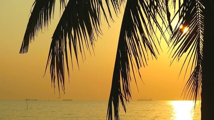 Wall Mural - sunset on the sea back silhouette coconut leaves and sunlight reflect on wave surface