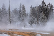 Scenic Winter Landscape in Yellowstone National Park Wyoming