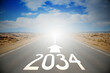 2034 - empty road on a desert and clouds on a sky