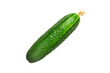 Fresh cucumber PNG