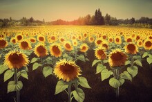 Empty Old Wooden Table With Field Of Sunflowers Bokeh Background. Generative AI
