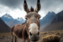 Wild Donkey In The Mountains Of Peru Viewed Through A Wide-angle Lens. Close-up Of A Wild Animal. Photorealistic Drawing Generated By AI.