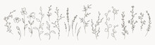 Hand Drawn Thin Floral Botanical Line Art. Trendy Minimal Elements Of Wild And Garden Plants, Branches, Leaves, Flowers, Herbs. Vector Illustration For Logo Or Tattoo, Invitation Save The Date Card