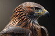 © stejon - AI bird of prey portrait, claws, beak, bird,