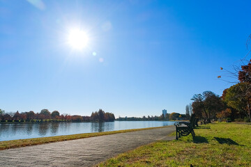 Canvas Print - 東京都葛飾区 秋の水元公園