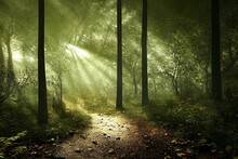 A Path In The Woods With Sunlight Coming Through The Trees And Leaves On The Ground And On The Ground There Is A Bright Light Coming Through The Trees. Generative Ai