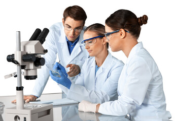 Wall Mural - group of the scientists working
