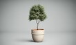  a potted plant with a tree in it on a gray background with a shadow from the bottom of the pot and a shadow from the top of the plant.  generative ai