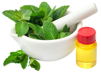 Poster - Mint leaves with essential oil in a bottle