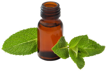 Sticker - Mint leaves with essential oil in a bottle