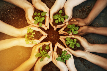 Wall Mural - Green is a way of life. Cropped shot of a group of people holding plants growing out of soil.