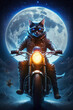Cat motorcyclist with blue eyes moves towards the camera, generated by AI.