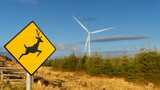 Fototapeta  - Znak uwaga na jelenie w tle wiatrak z farmy wiatrowej Irlandia okolice Arklow