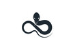 Snake silhouette. Isolated snake on white background