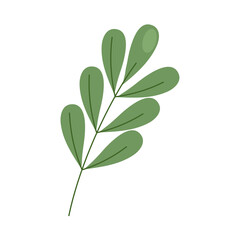 Sticker - branch with leafs