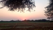 Sunset In The Field,golden Hour Time,summer, Sun, Forest, Clouds, Cloud, Blue, Farm, Beautiful