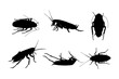 Set of silhouettes of cockroaches vector design