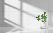 Various Objects On A White Tile Background With Warm Sunlight Shining Through
