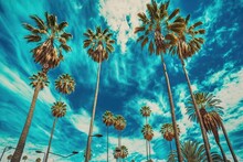 Wide Angle Shot Of Palm Trees In Los Angeles Against A Bright Blue Sky. Classical Melody. Generative AI