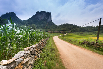 Wall Mural - Mountain road. The incredible road between Sapa and Lai Chau, Vietnam