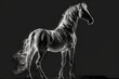 silhouette of an Arabian horse on a black background. Generative AI