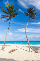 Canvas Print - Bottom Bay beach in Barbados