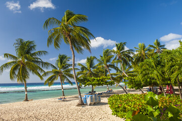 Canvas Print - Barbados beach