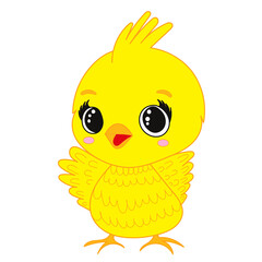 Wall Mural - chicken cute, cartoon for kids isolated vector