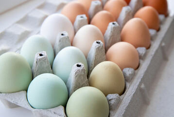 lot of different color chicken eggs arranged by color on paper egg box. all sorts of colors: blue, g