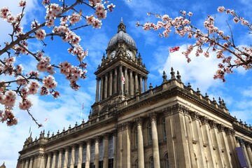 Sticker - Leeds UK - City Hall. Spring time cherry blossoms.