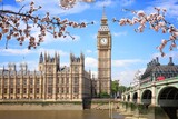 Fototapeta Londyn - Westminster Bridge in London UK. Spring time cherry blossoms.