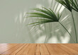 Empty wooden table counter with tropical palm tree in dappled sunlight, leaf shadow on green wall for luxury organic cosmetic, skincare, beauty treatment nature product display background 3D