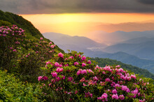 The Great Craggy Mountains Along The Blue Ridge Parkway In North Carolina, USA With Catawba Rhododendron