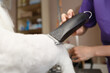 Pet groomer shaving maltese puppy with electric shearer machine. Professional grooming service for toy dog in vet clinic