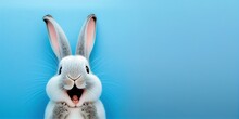 Cute Animal Pet Rabbit Or Bunny White Color Smiling And Laughing Isolated With Copy Space For Easter Card