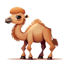 Little Yellow Camel. Little Baby Camel. A Friendly Little Camel With Big Dark Eyes. Nice Character Graphics Made In Vector Graphics. Illustration For A Child.
