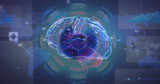 Fototapeta Konie - Image of human brain, data processing over world map