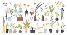 Flowers And Plants Elements With Leafs In Pots Tiny Person Collection Set, Transparent Background. Nature Beauty And Green Growing Foliage Items For Beautiful Decoration Assets Illustration.