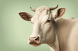 © ADDICTIVE STOCK - AI image of domestic cow in studio