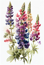 Watercolor Style Lupine Flowers, Generative AI