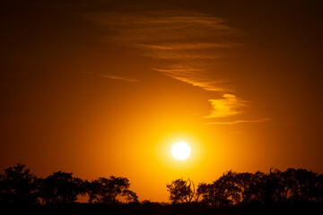 Wall Mural - Warm summer sunset