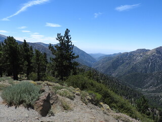 The natural beauty of the San Gabriel Mountain wilderness, Angeles National Forest, California.