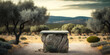 table en pierre pour la présentation de produits avec arrière-plan légèrement flou. Décor de champs d'oliviers en Provence sous le soleil