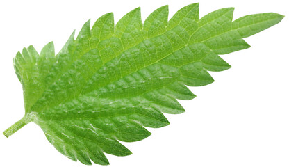 Sticker - Nettle leaves