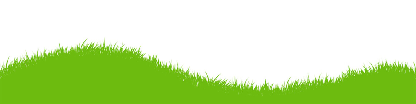 green vector grass meadow on transparent background. easter concept: spring, easter, holiday. png im