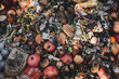 Compost is organic material that has been broken down and recycled as a fertilizer and soil improvement supplement. Compost is a key ingredient in organic farming