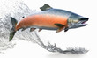 Flying salmon with splash of water going to spawning. AI generative